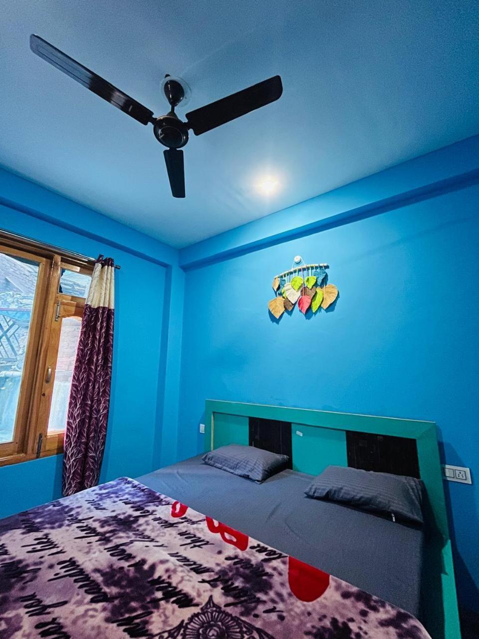كاسول Trippy Homestay المظهر الخارجي الصورة